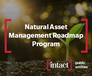 Make Nature Count – Build a Natural Asset Management Roadmap | IPE