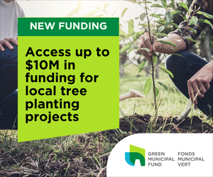 New funding from FCM: Get up to $10M for local tree planting projects
